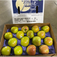 Granny Smith Apple Grow Delicious And Healthy Apples Washington Extra Fancy Grow In Any Season